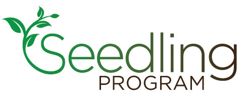 Seedling Program - Strive 2 Thrive